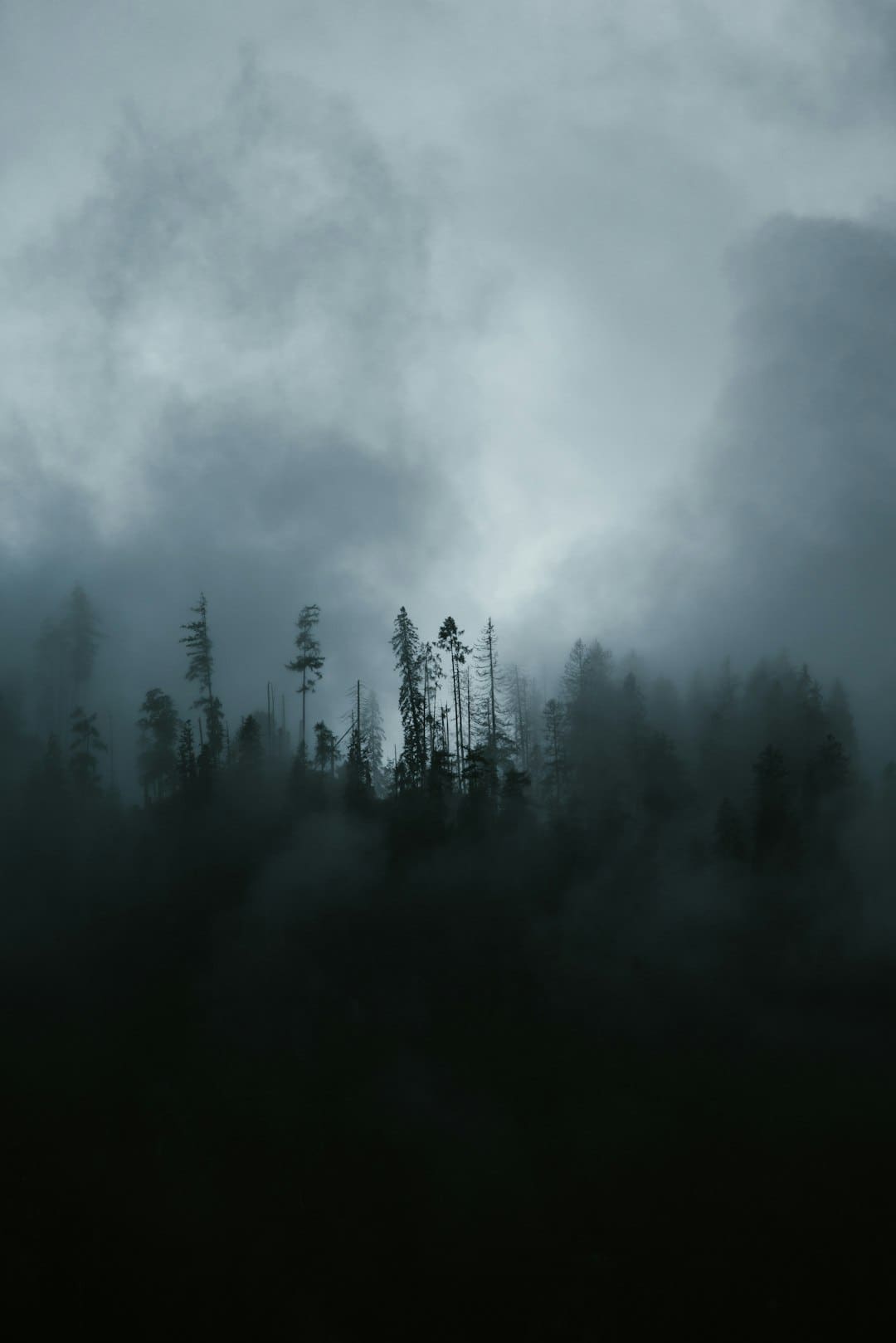 http://n.sinaimg.cn/front/w600h589/20180311/ABGh-fxpwyhx1056921.jpg?zdy